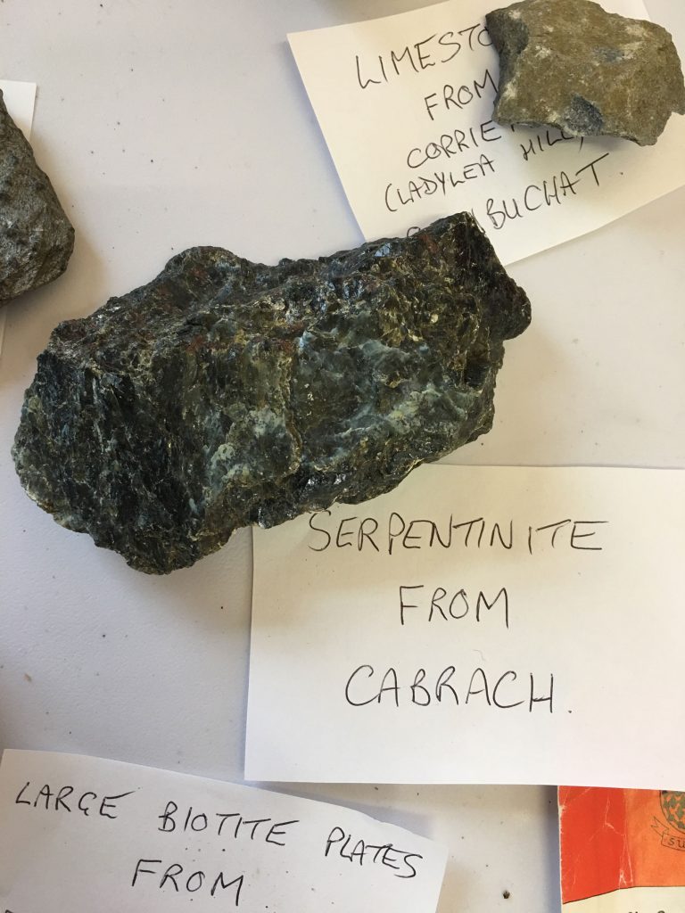 rocks with handwritten slips of paper saying Limesto...from corrie... (ladylea hill)...buchat, Serpentine from Cabrach, Large Buitite Plates from...