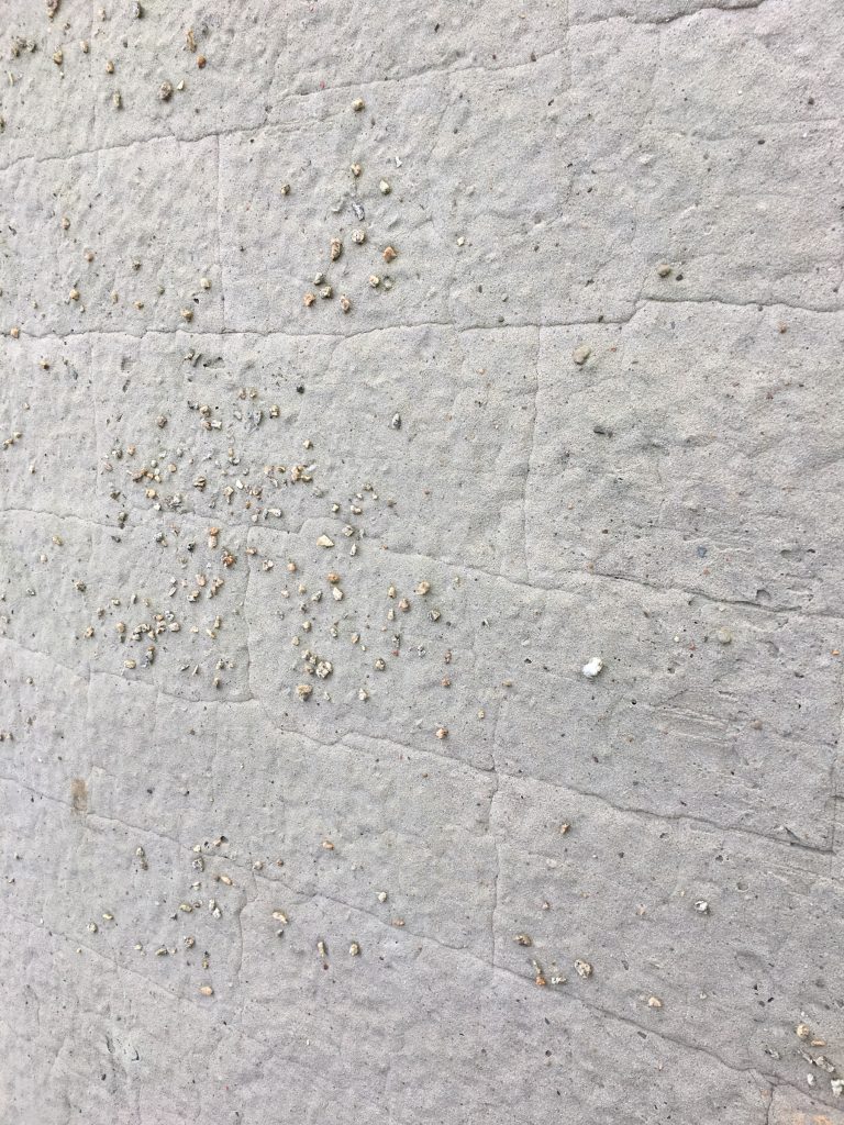 a white wall with some pebbles stuck in the mortar