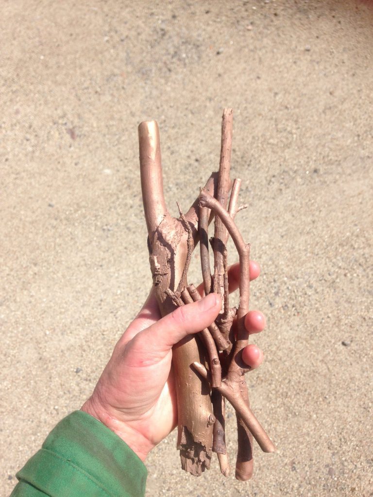 The same green cuffed hand from the first image is now loosely holding a bunch of broken twigs. These twigs are a flat but shiney bronze colour as they are indeed made from the material, bronze. The bronze casting process has preserved lots of the detail from the twigs used to cast them, such as nooks, peeling bark and breaks.