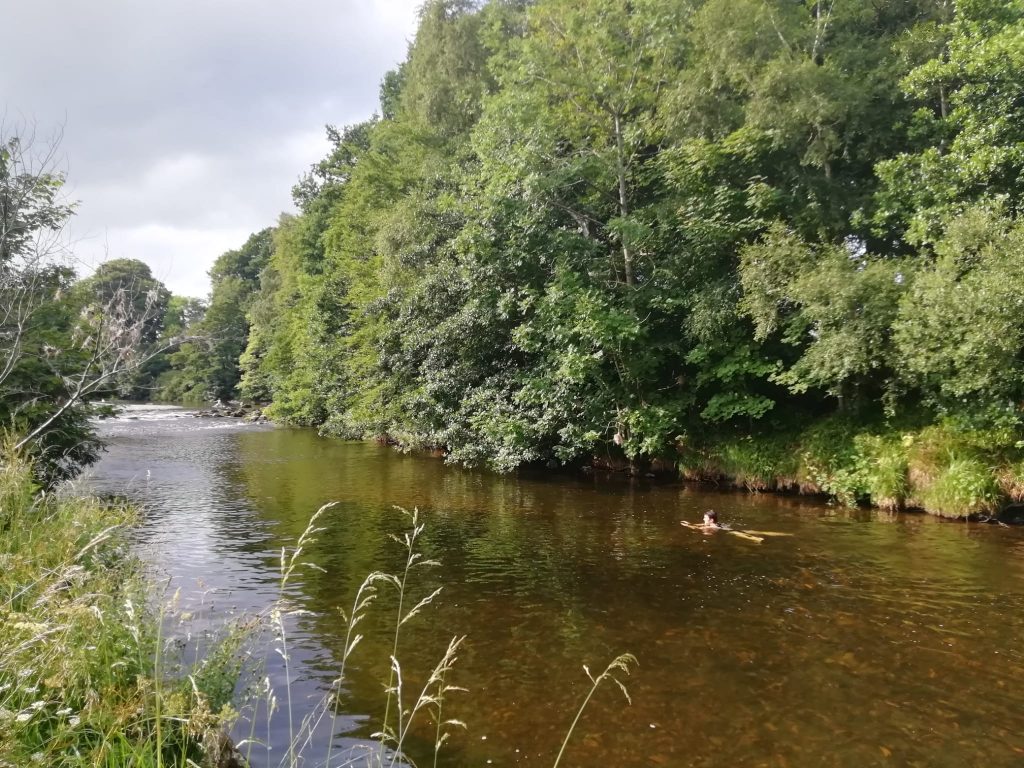 Looking down the River Deveron at Huntly. Through the clear water are stones on the river bed. Juliet is swimming in the River, head above the water looking directly ahead. Juliet’s legs are stretched out behind Juliet beneath the water. The right hand side of the River is lush and green with foliage and trees overhanging the River’s edge. The left hand side of the River is also lush with grasses. The sky is cloudy with little peekings of blue.