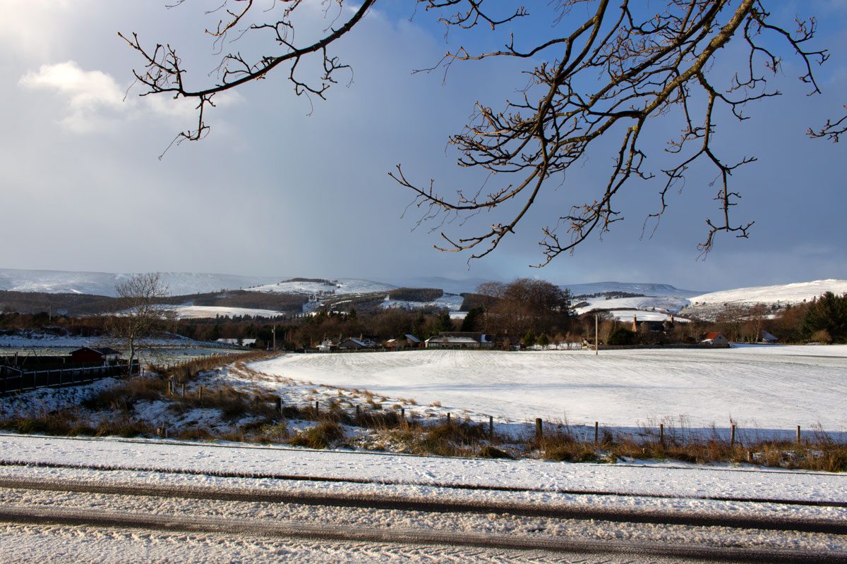 Behind a slushy pavement, snow covered fields stretch into the distance. The snow is quite light, so the long grass, hedges and trees are still dark brown and high contrast against the brightness of the snow. The front left of the field looks particularly brushy and shaded because of this. There are low hills in the distance behind some dark trees, also snow covered. The sky is bright blue, with a swathe of light sweeping down the left hand of the photo. Some bare tree branches stretch into the frame from above ,almost touching the hills in the distance but not quite.