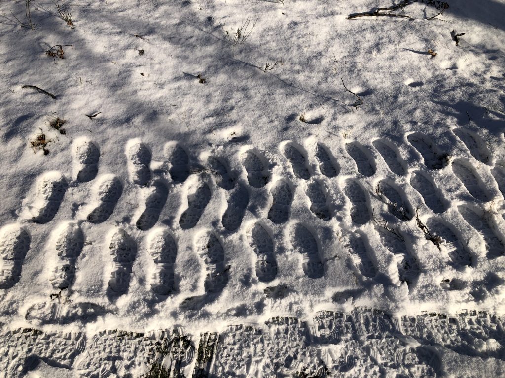 a grid of footprints in snow